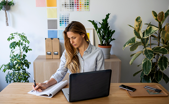 useful description of image if informative and not decoration only.